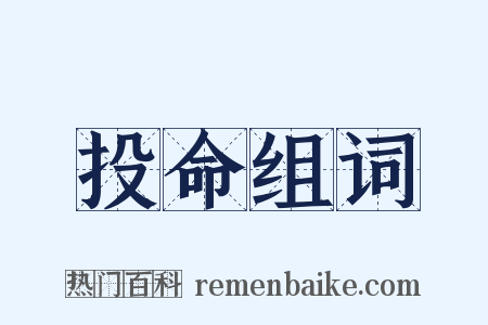 投命组词是什么意思的图片